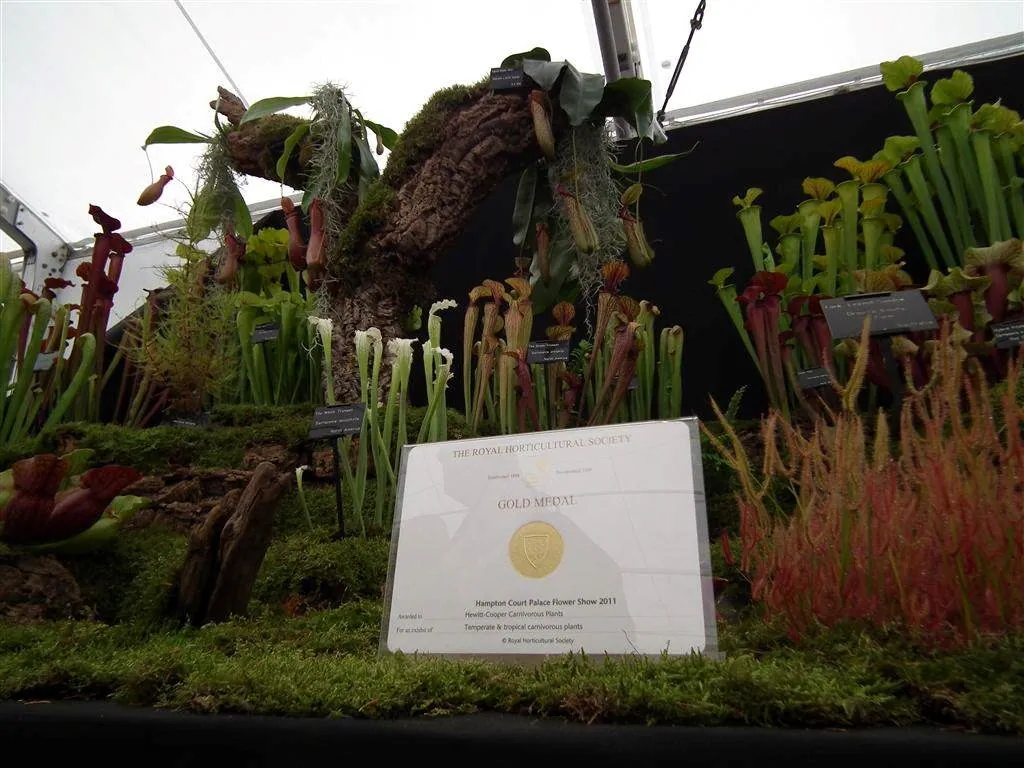 Floral marquee in the long water area 55